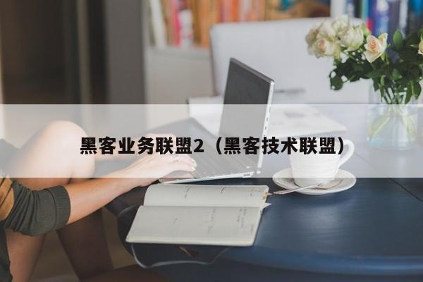 黑客业务联盟2（黑客技术联盟）