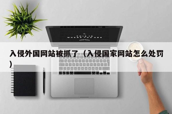 入侵外国网站被抓了（入侵国家网站怎么处罚）