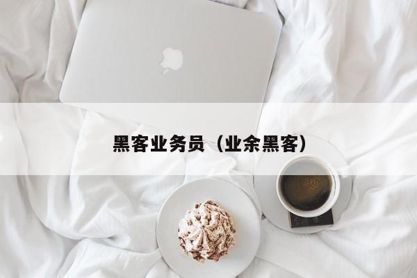 黑客业务员（业余黑客）