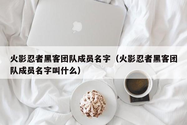 火影忍者黑客团队成员名字（火影忍者黑客团队成员名字叫什么）