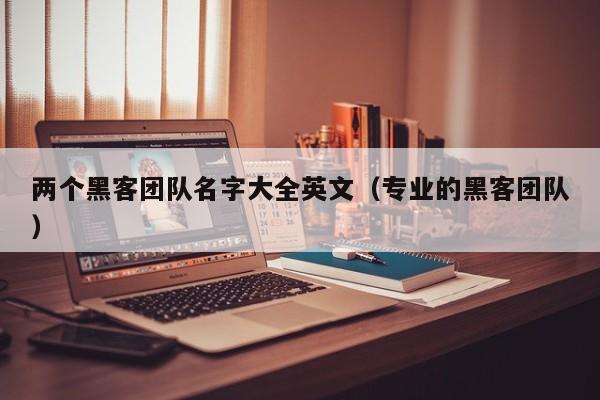 两个黑客团队名字大全英文（专业的黑客团队）