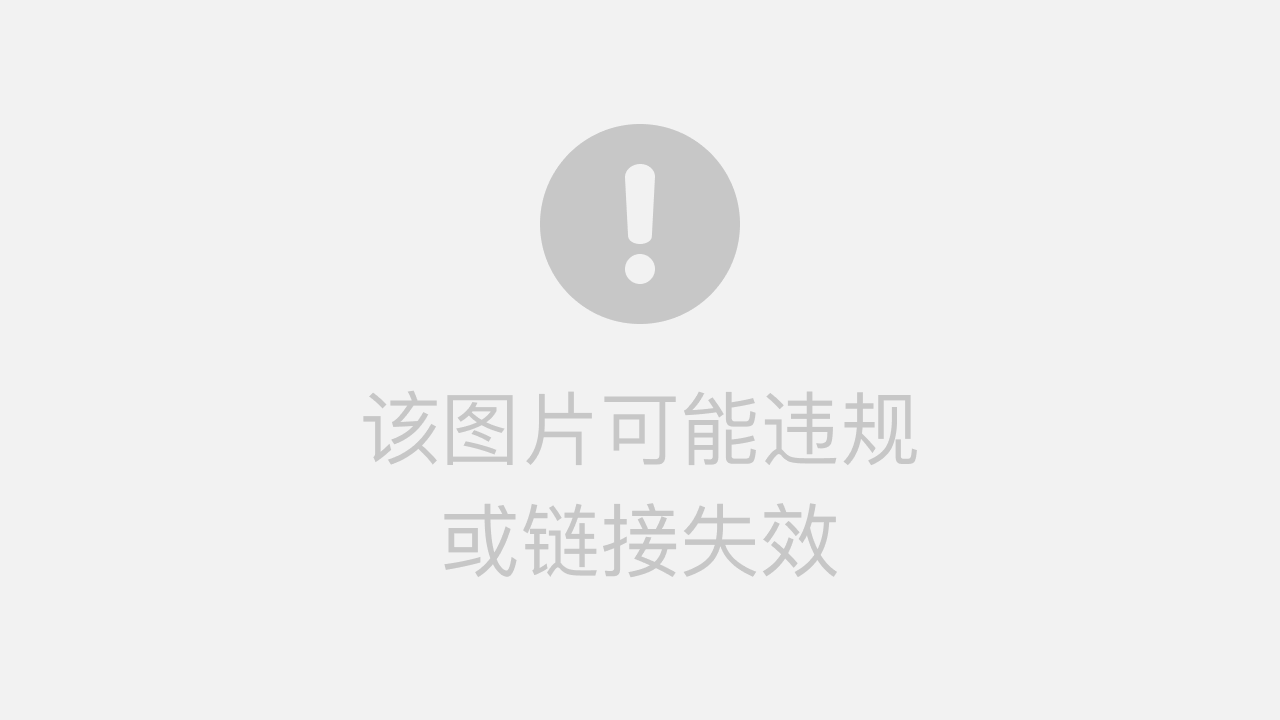 外国黑客团队照片大全真实(外国黑客团队照片大全真实图片)