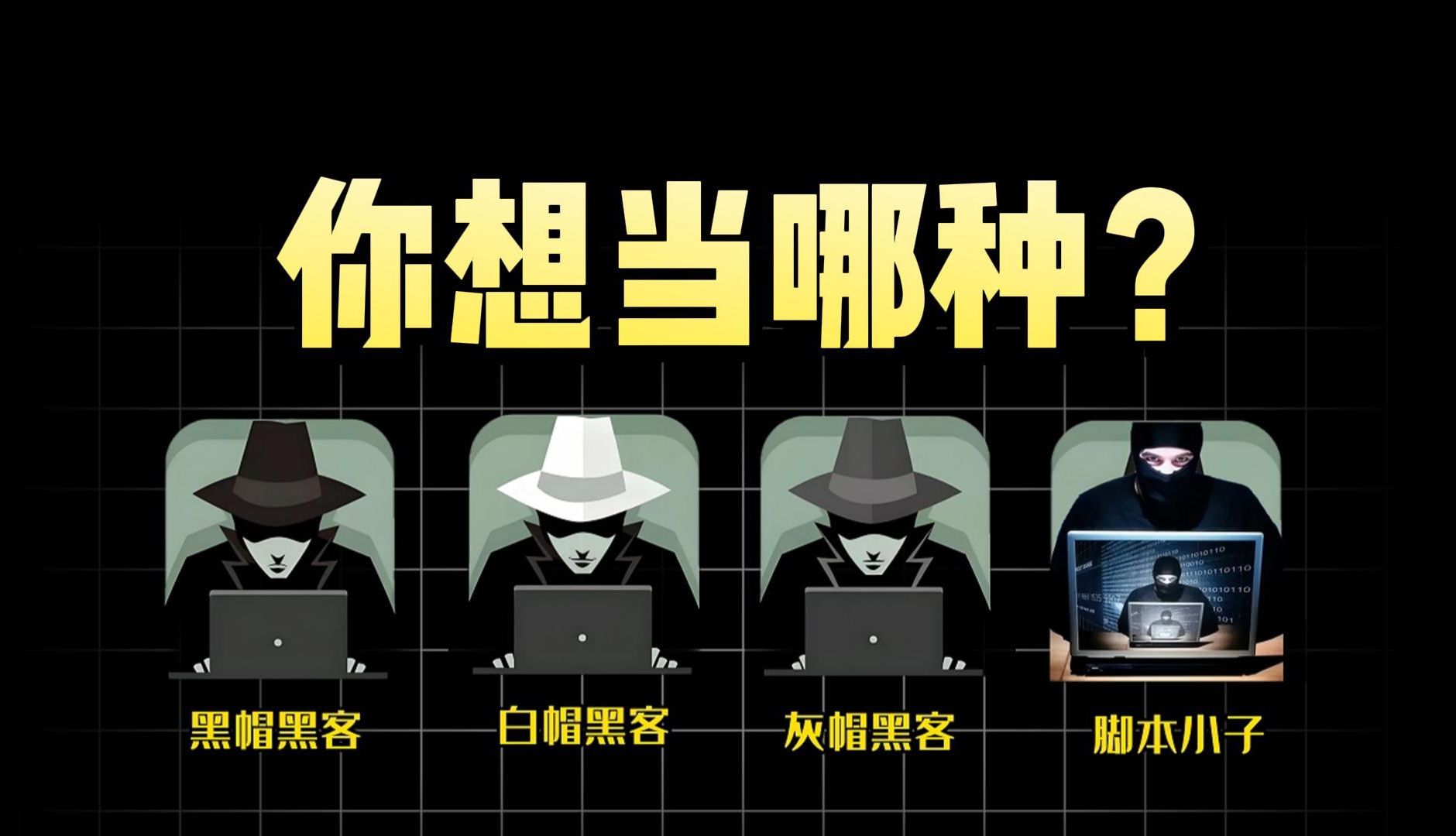 黑客团队合影视频下载不了(黑客团队合影视频下载不了吗)