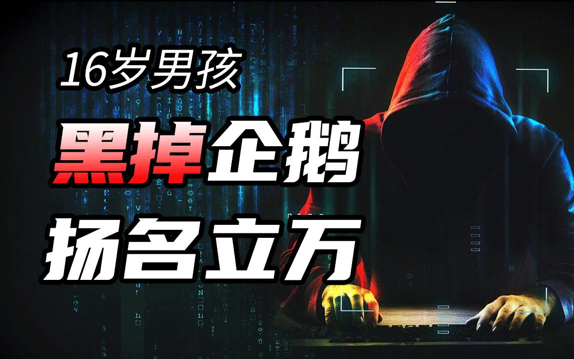黑客菜霸怎么联系(黑客菜霸联系方式谁有啊)