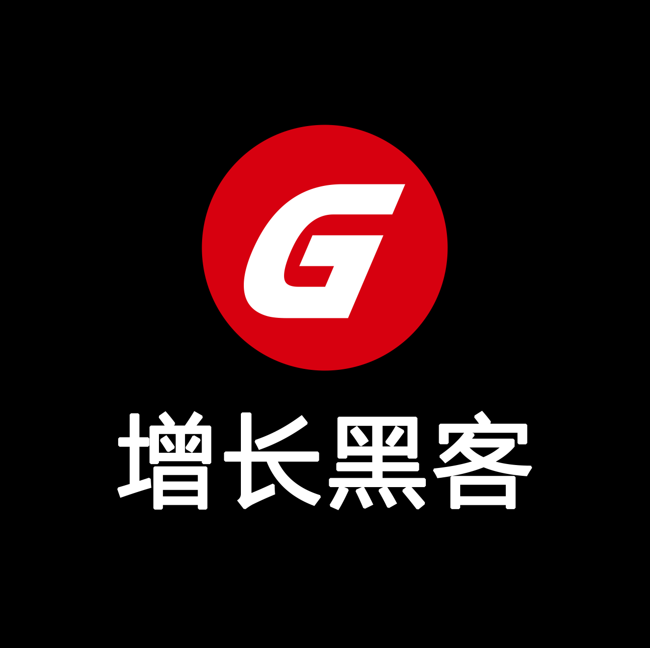 黑客暗夜团队名字(黑客暗夜团队名字叫什么)