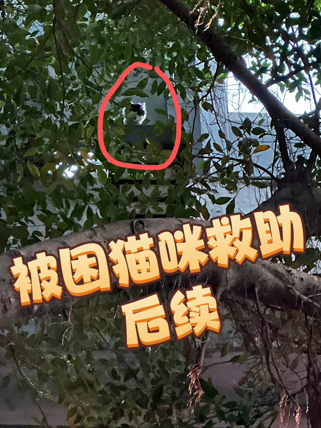 黑客追款团队救助会(黑客追款团队救助会怎么样)