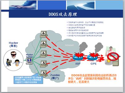 黑客服务业务包括什么(黑客服务业务包括什么内容)