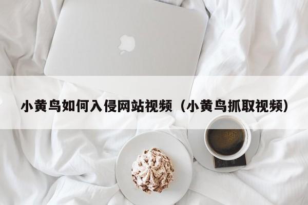 小黄鸟如何入侵网站视频（小黄鸟抓取视频）